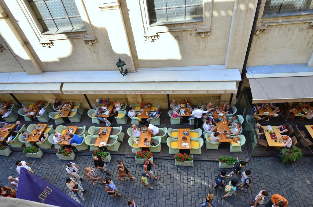 Pension Karlova Praha Rom bilde